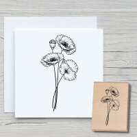 Klatschmohn 02