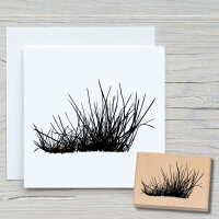 Gras 02