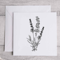 Lavendel