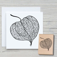 Physalis