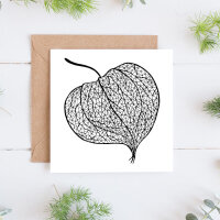 Physalis