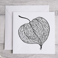 Physalis