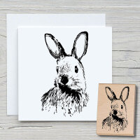 Karl der Hase