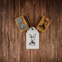 Karl der Hase
