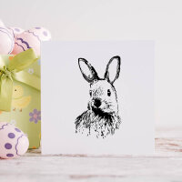 Karl der Hase