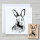 Karl der Hase