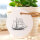 Segelschiff