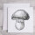 Pilz
