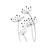 Dandelion 03