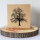 Baum 02
