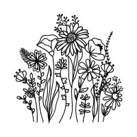 kleine Blumenwiese