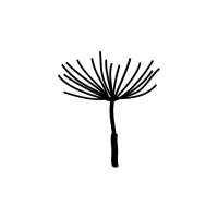 Dandelion Mini