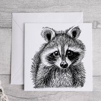 Waschbär 02