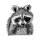 Waschbär 02