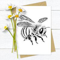 Biene filigran