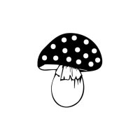 Fliegenpilz Micro