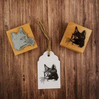 Katze 02