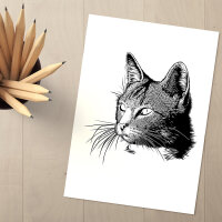 Katze 02