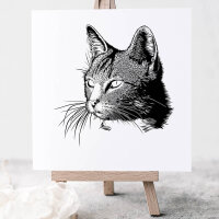 Katze 02