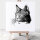 Katze 02
