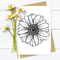 Gänseblume einzeln